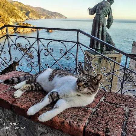Il Balconcino Sul Carugio *