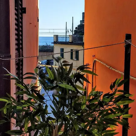 Apartamento Il Balconcino Sul Carugio Monterosso al Mare