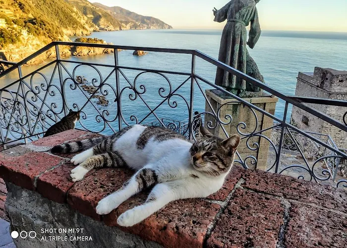 Il Balconcino Sul Carugio *